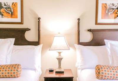 two double beds in hotel room with pictures of tiger eyes