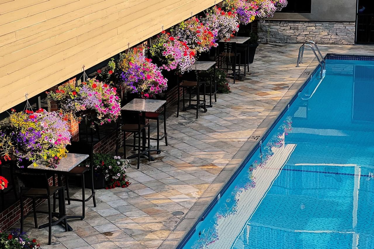 Swimming pool with flower assortments