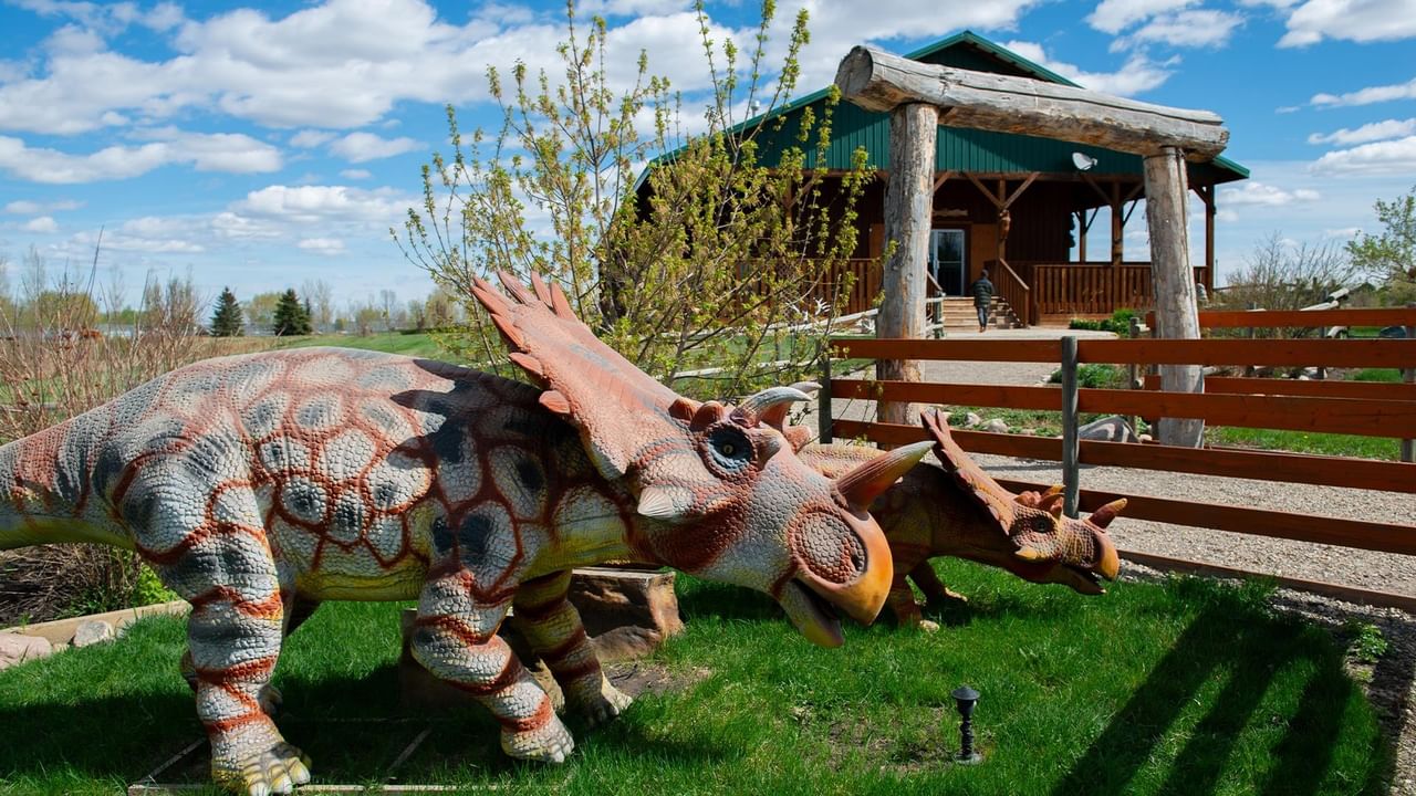 Dinosaur models on grass in front of a wooden structure at Discovery Wildlife Park.