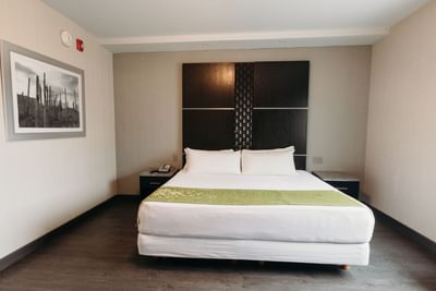 King bed with a wall painting in Standard Room, Araiza San Luis