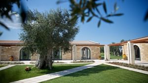 Trees by the main Entrance at Masseria Stali