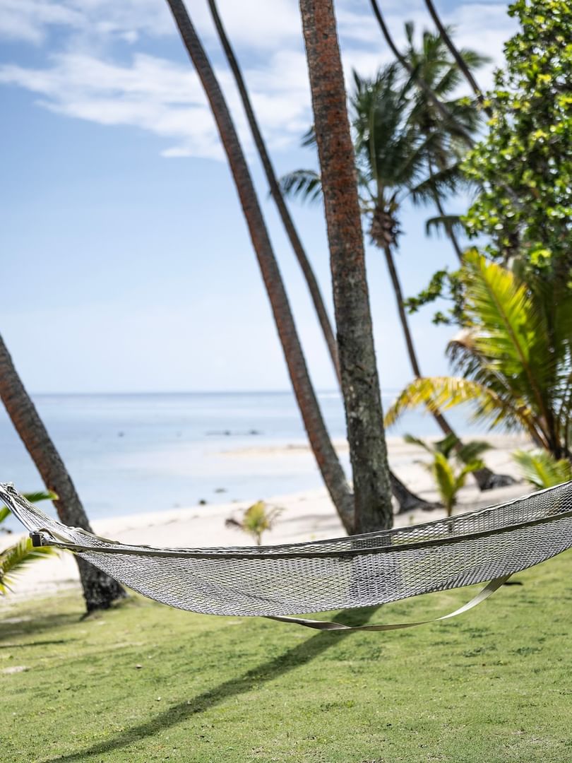 Empty hammock strung between palm trees on tropical beachfront lawn with ocean view for Bula Sale – Save 20%