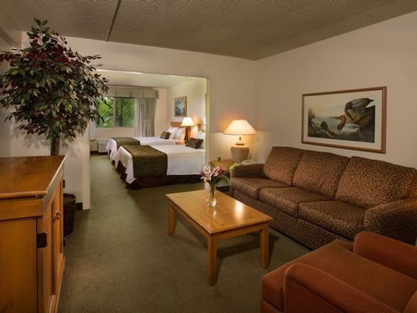 Sofa, sofa chair, table and two beds in hotel room