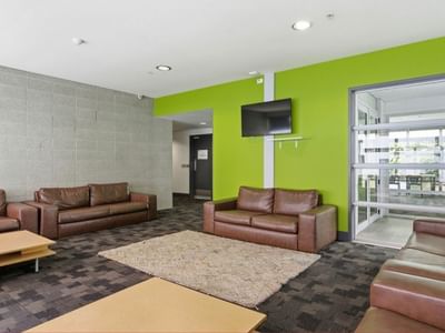 Lounge area with brown couches, wooden tables, and a green accent wall at Student Living Auckland – Anzac.