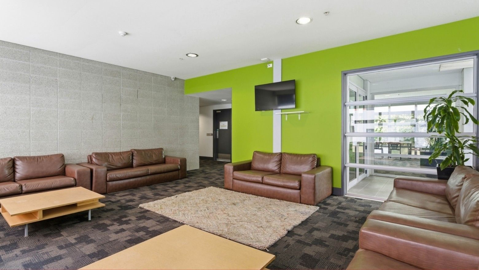 Lounge area with brown couches, wooden tables, and a green accent wall at Student Living Auckland – Anzac.