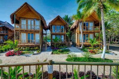 Front exterior of a resort with palm trees and a lit walkway at Hotel Isla Del Encanto