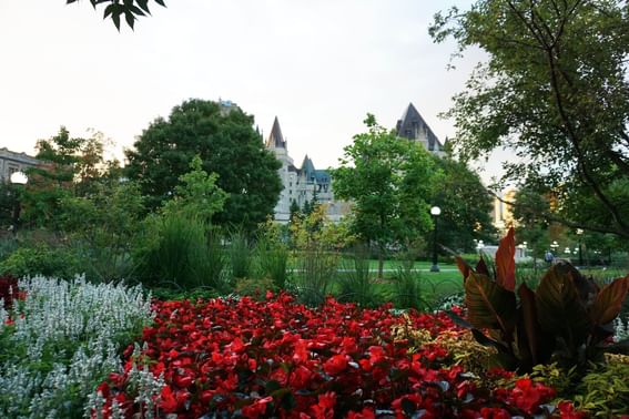 View of colorful flowers in a park near ReStays Ottawa