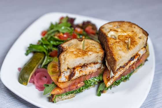 Sandwich served with green leaves at Stein Eriksen Lodge