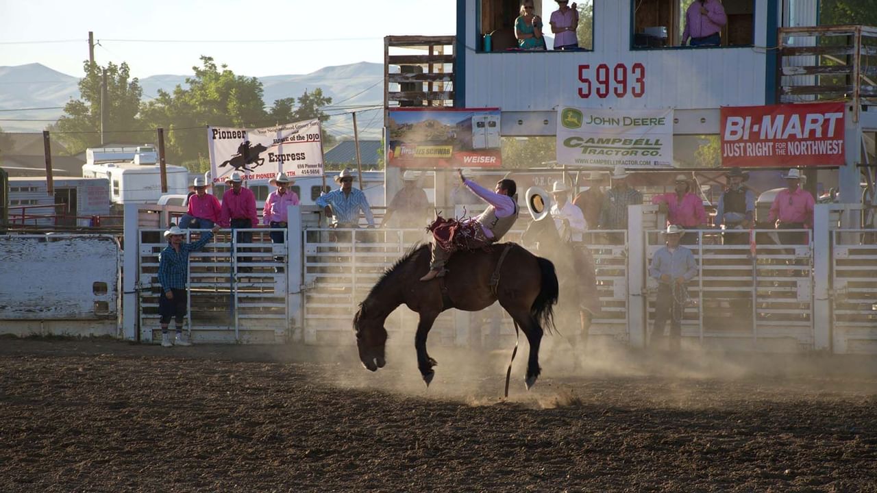 Person riding a bucking horse during a rodeo