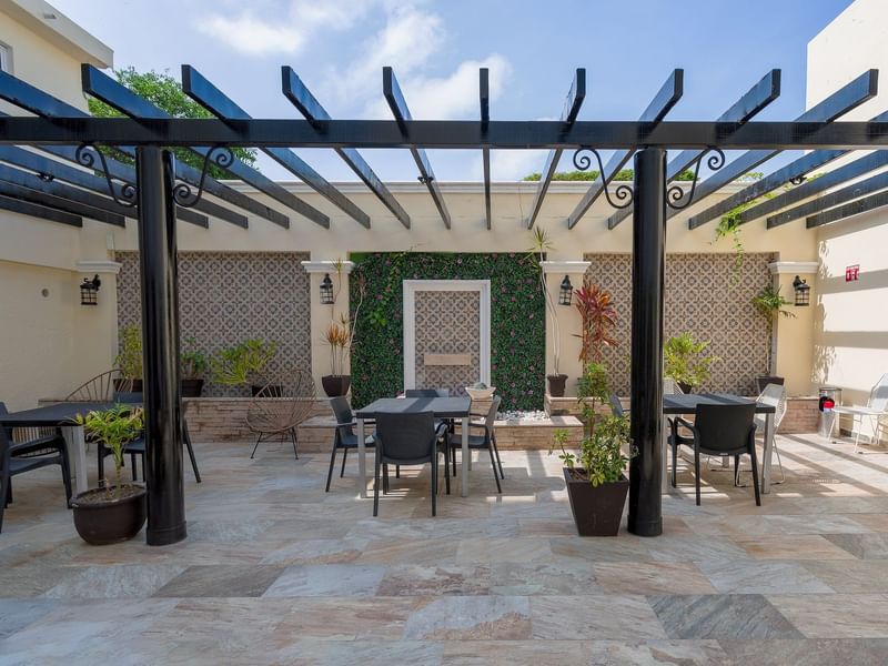 Terraza (3)