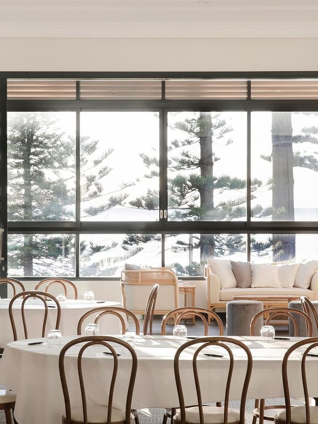 Fairy Bower at Elysium Manly with bentwood chairs surrounding tables and a sofa by large windows in the background