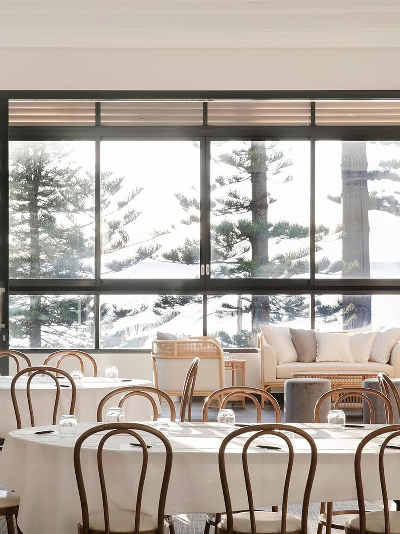 Fairy Bower at Elysium Manly with bentwood chairs surrounding tables and a sofa by large windows in the background