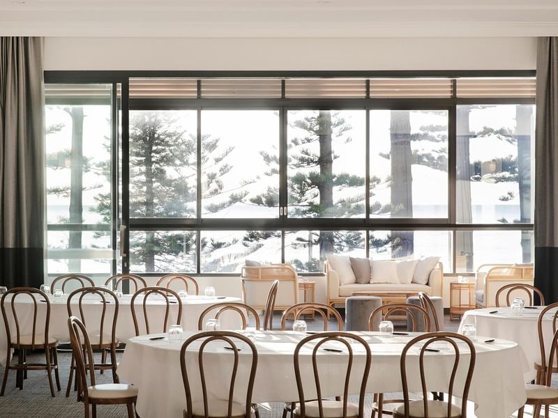 Fairy Bower at Elysium Manly with bentwood chairs surrounding tables and a sofa by large windows in the background