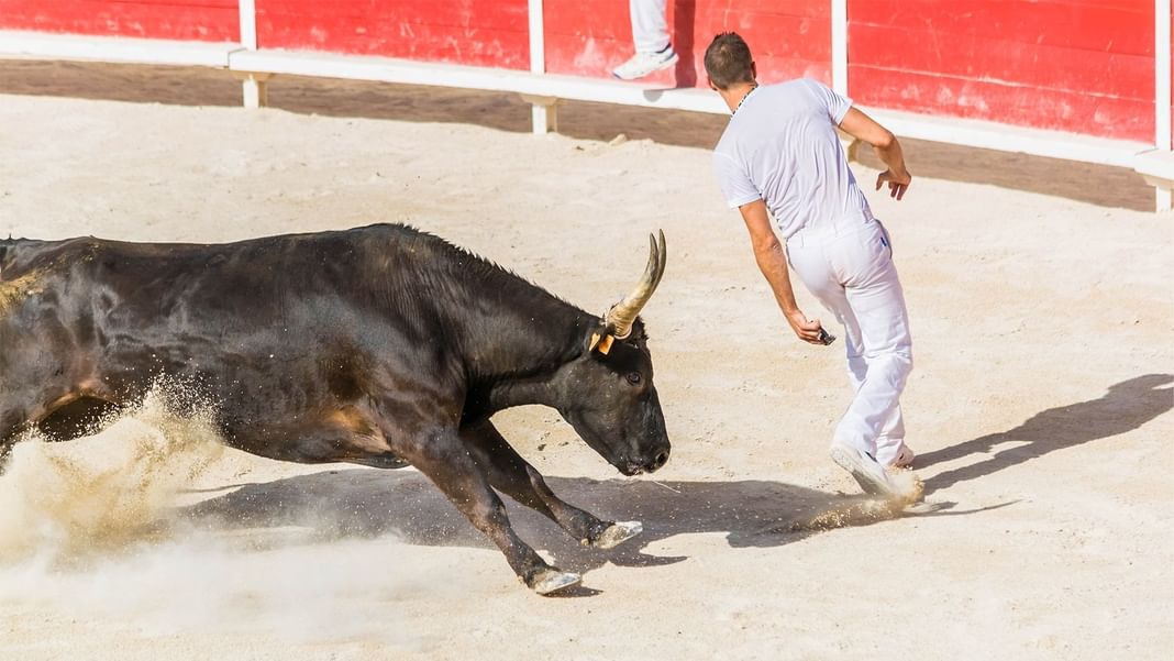 Un homme courant devant un taureau chargeant près des Hôtels Oceania