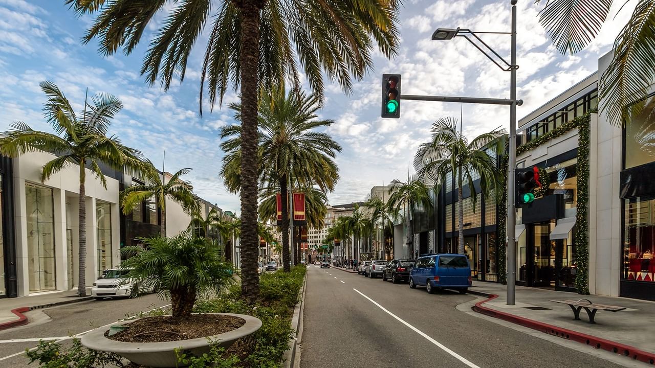 Shopping street with palm trees and luxury boutiques
