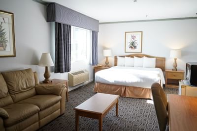 Interior of Superior 1 King Bed Room at Hotel Buena Vista