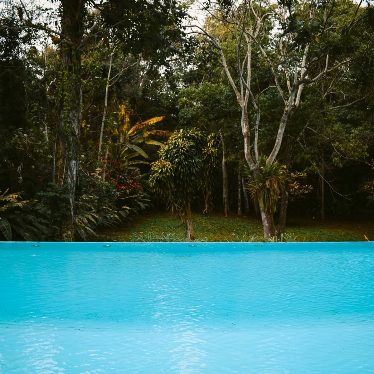 Swimming pool by the trees at La Cantera Lodge de Selva