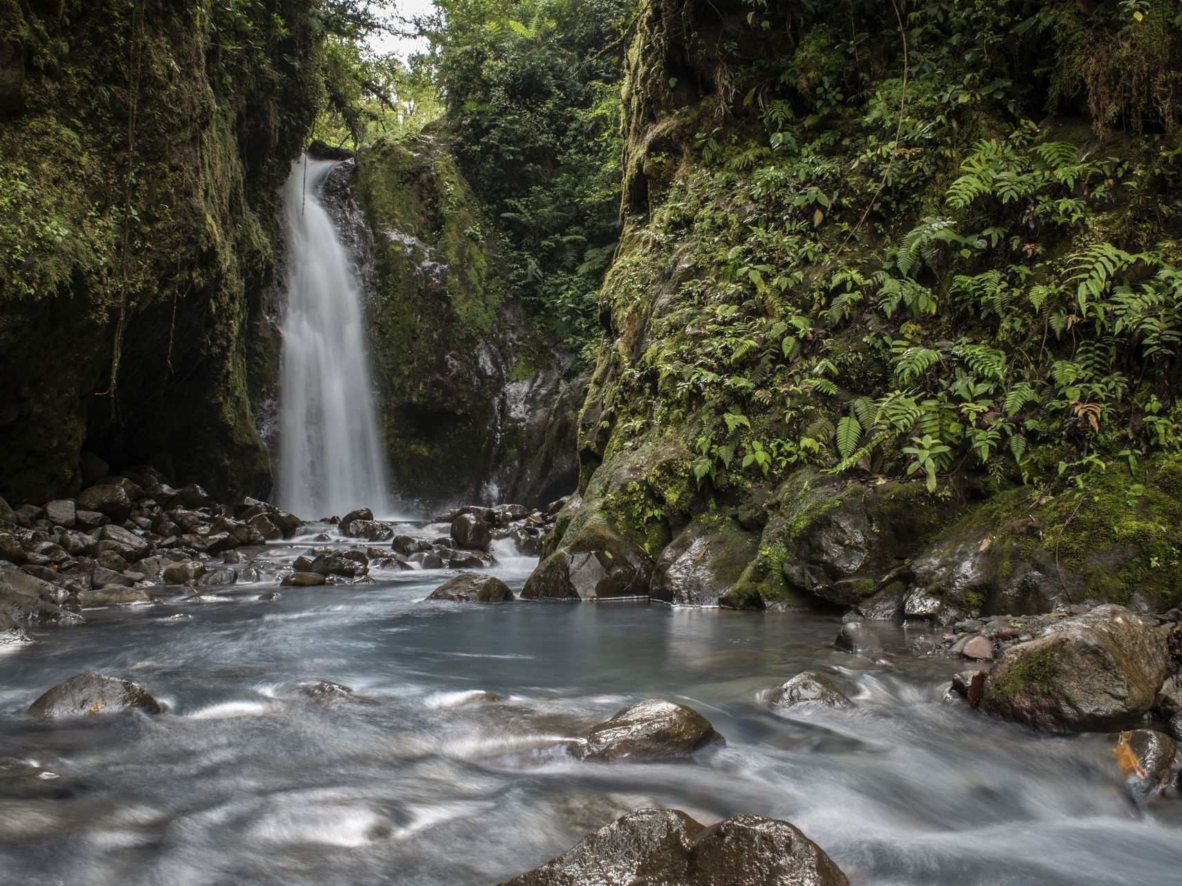 Las Gemelas Waterfall flows into a stream surrounded by lush greenery near El Silencio Lodge and Spa