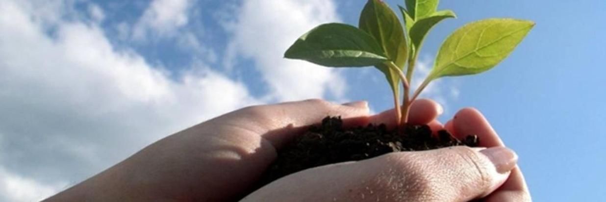 A person holding a plant seed with manure