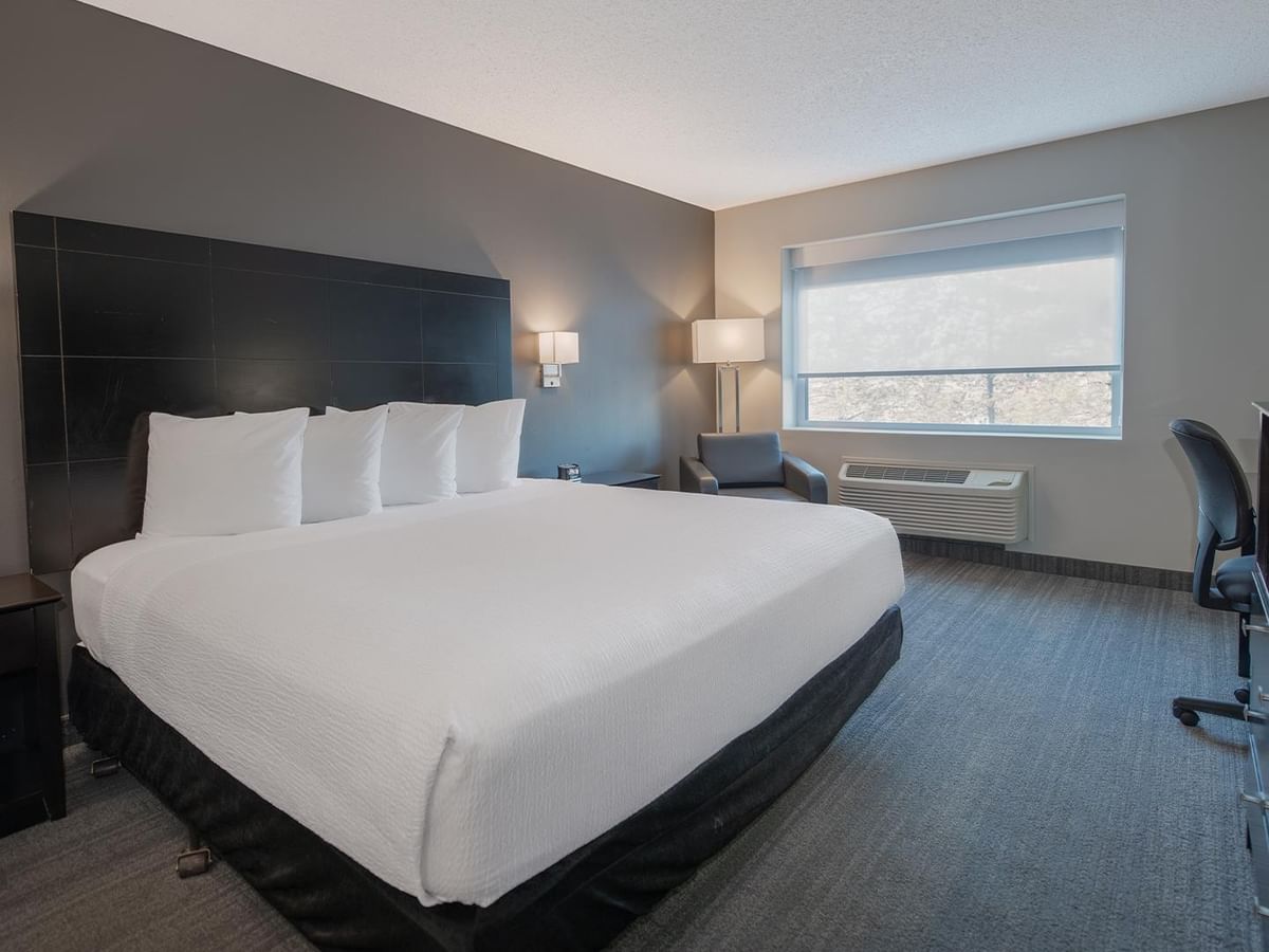 Spacious room with a king bed, desk, and window.