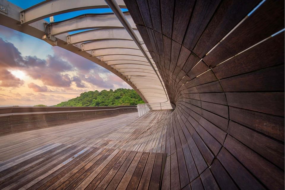 Henderson Waves Bridge at Southern Ridges near Momentus Hotel Alexandra