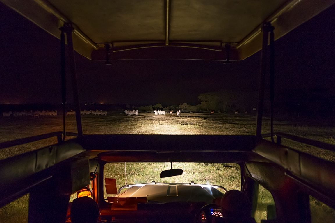 A night game drive experience near Sweetwaters Serena Camp