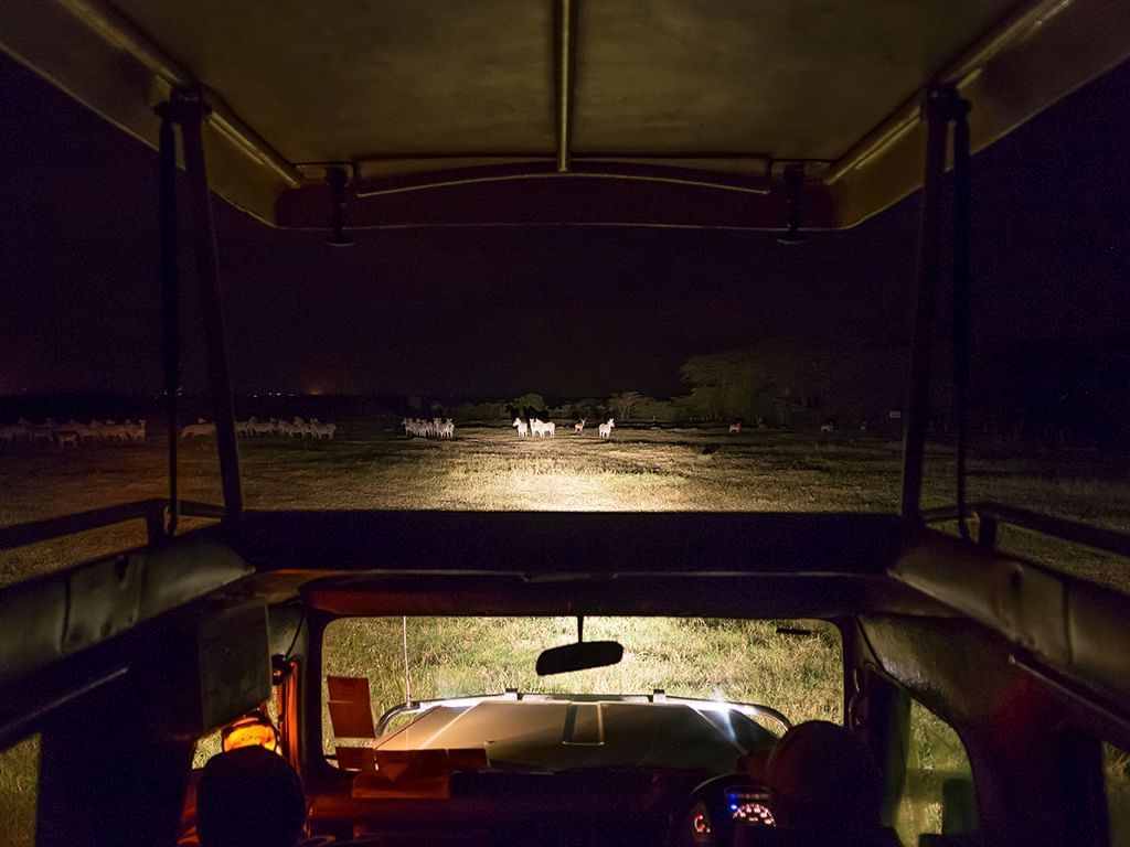 NIGHT GAME DRIVE | What to do near Sweetwaters Serena Camp