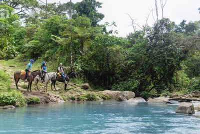 Horseback riding by the river near Rio Celeste Hideaway
