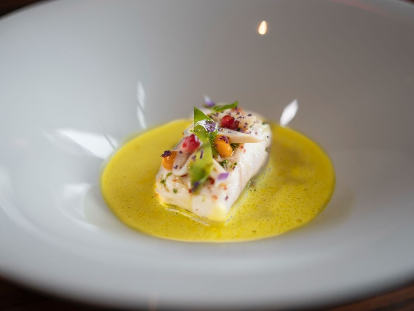 Indulge in Gourmet Delights