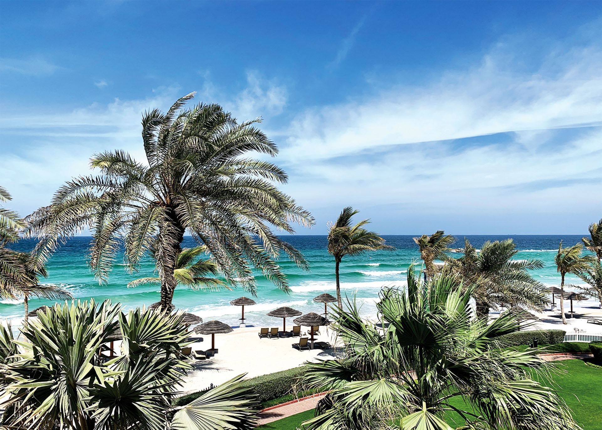 White beach with palms 