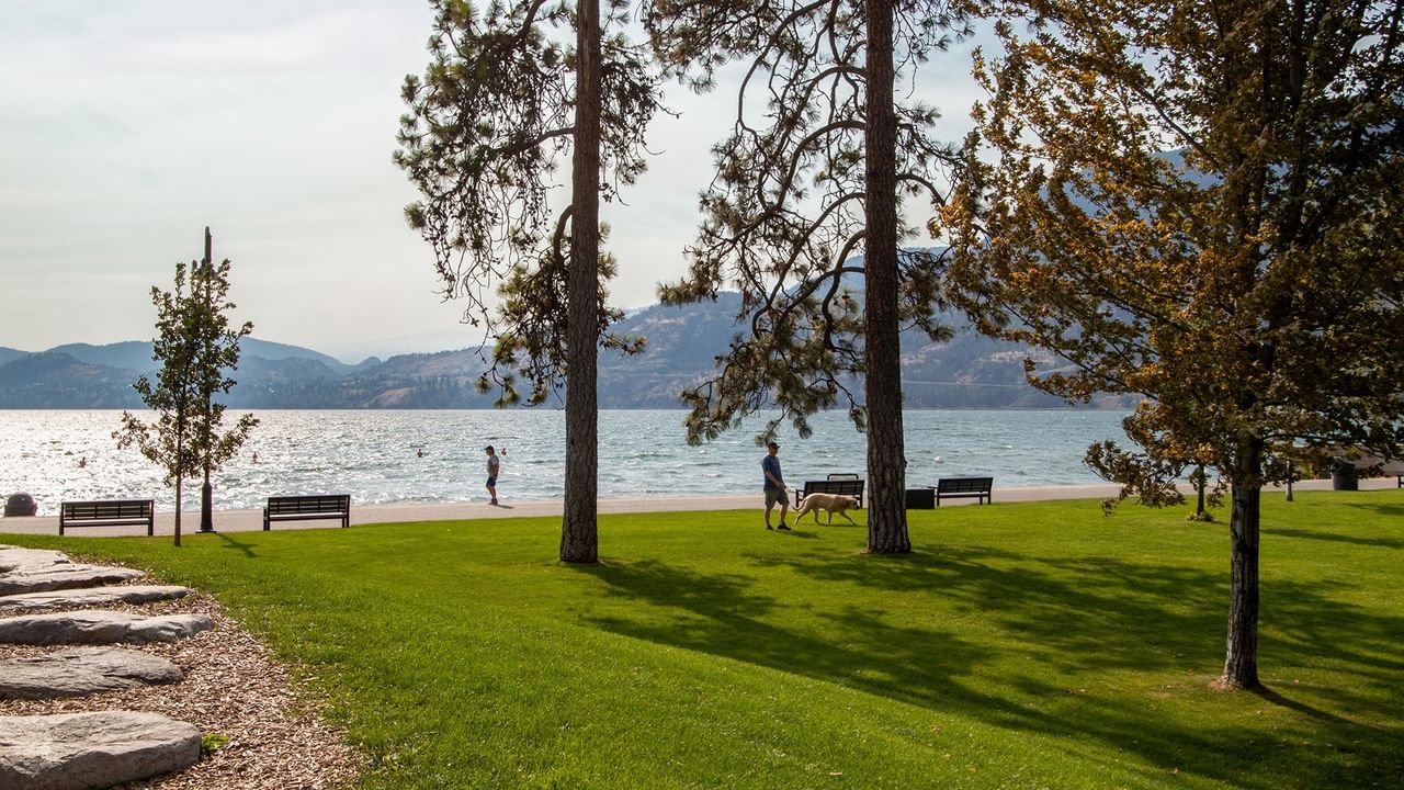A park with trees, benches, and people walking dogs near a lake with mountains in the background.