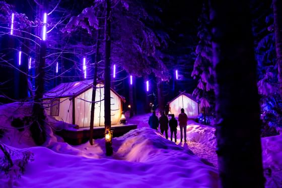 People enjoying a light show night walk in the forest near Blackcomb Springs Suites