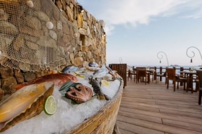 Fresh sea food display on the deck at Cala de Mar