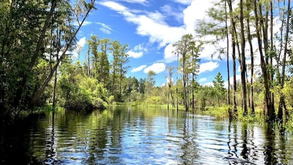 Shingle Creek Regional Park near Legacy Vacation Resorts