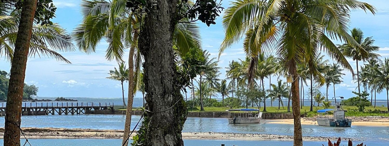 Beach view with hammock under trees at The Naviti Resort in Korolevu