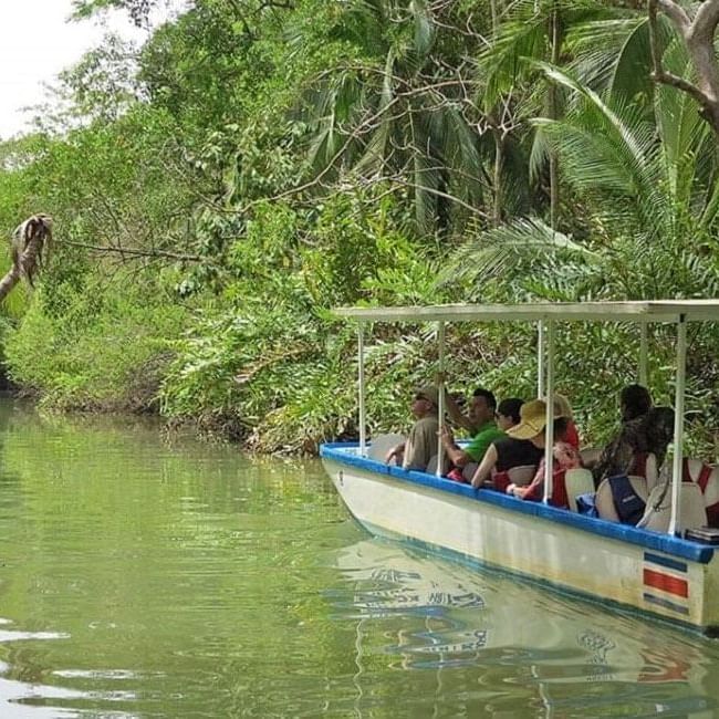 Family Friendly Tours in Manuel Antonio