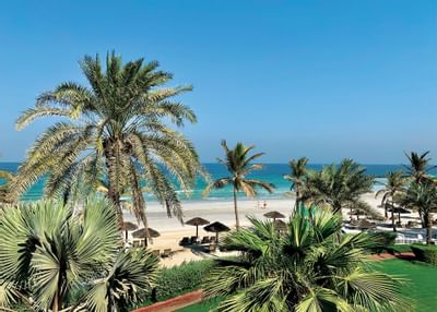 Palm trees and beach view from Hotel Ajman