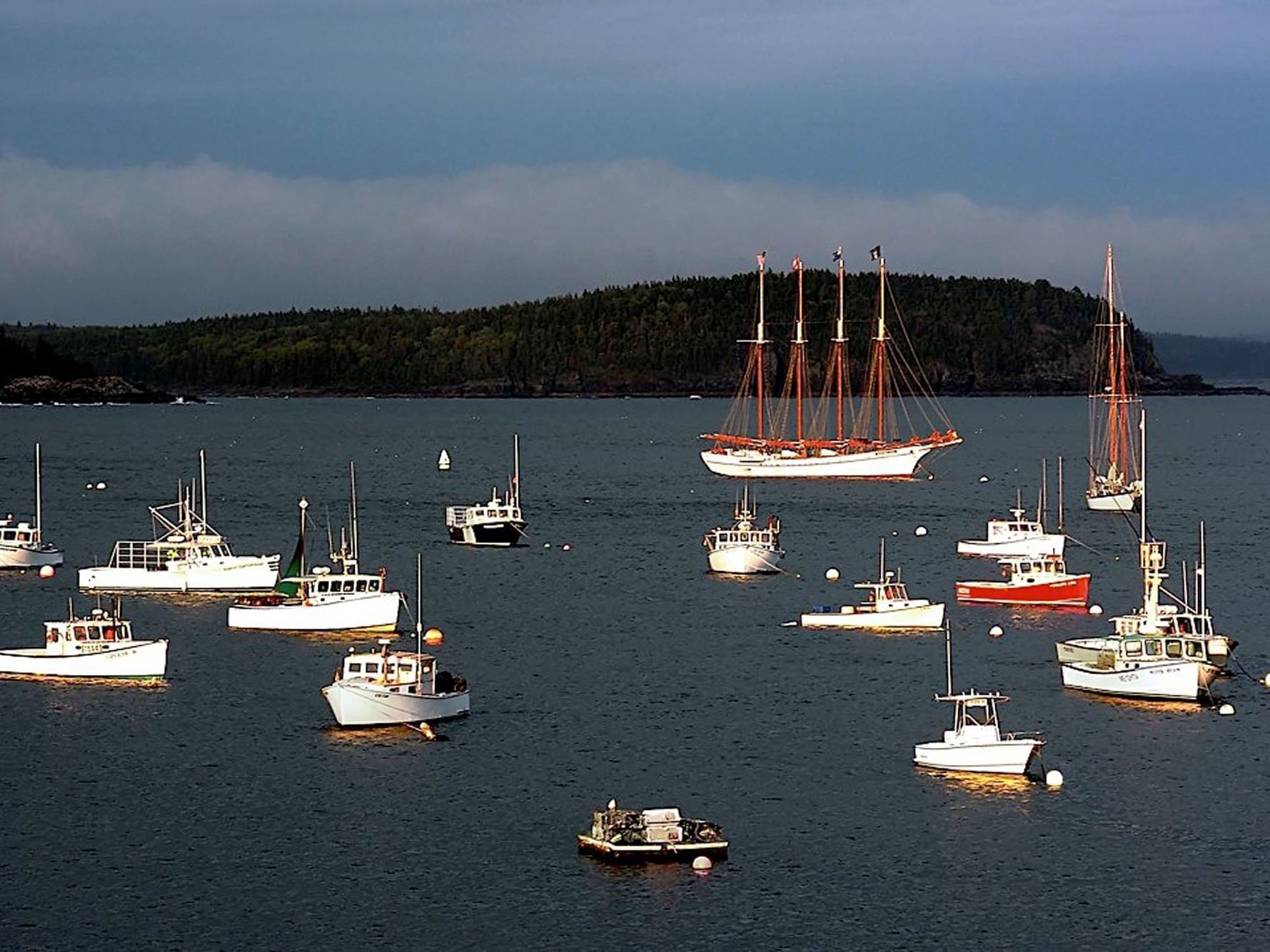 sailboats in ocean