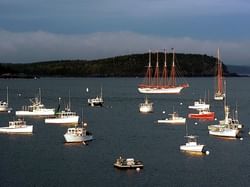 sailboats in ocean