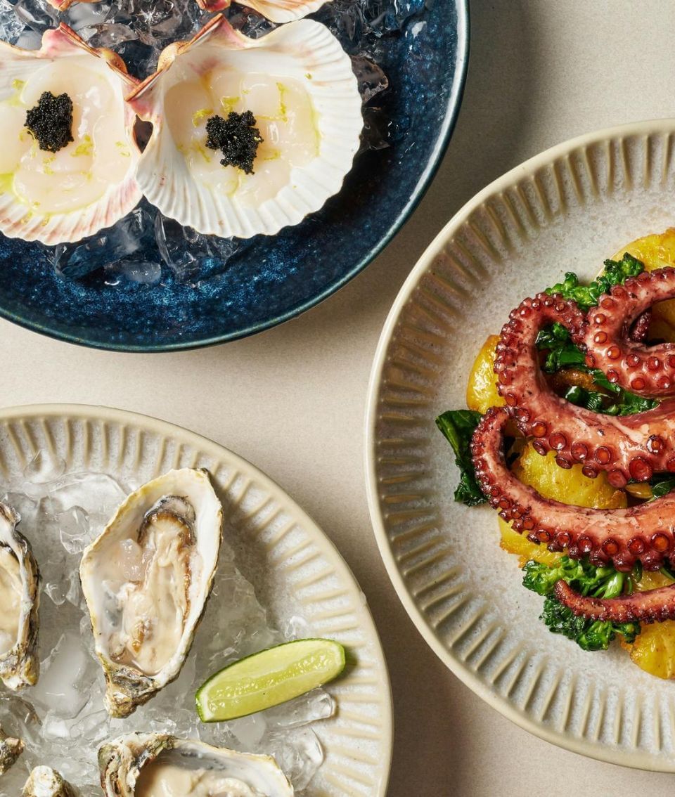 Close-up of three seafood dishes served in Regent Restaurant & Bar at Hotel Brookmere