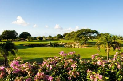 Landscape of golf course at Bougainvillea Resort