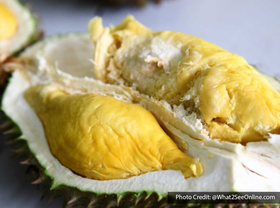 Durian in FCS Durian Orchard - Lexis Suites Penang