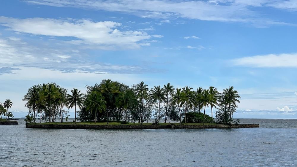Tropical island with palm trees in the ocean at The Naviti Resort Korolevu.