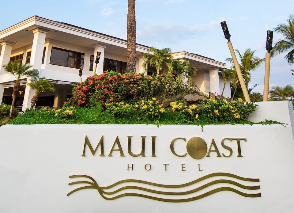 Hotel logo with a palm tree image used at Maui Coast Hotel