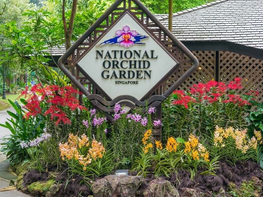 National Orchid Garden near Goodwood Park Hotel