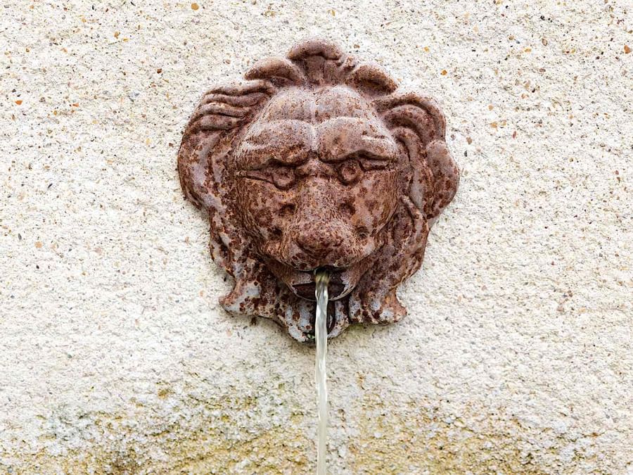 Emblem wall fountain at Au Relais Saint-Eloi