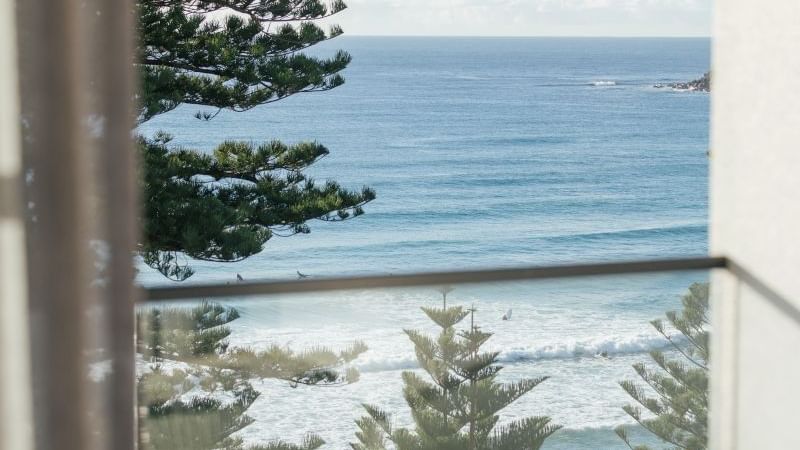 Ocean View Two Bedroom at Elysium Hotels, balcony view framing pine trees and rolling waves along the coast