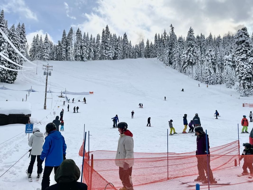 Granlibakken's ski and snowboard hill. Photo shows loading area of beginner rope tow, and the entire ski and snowboard area