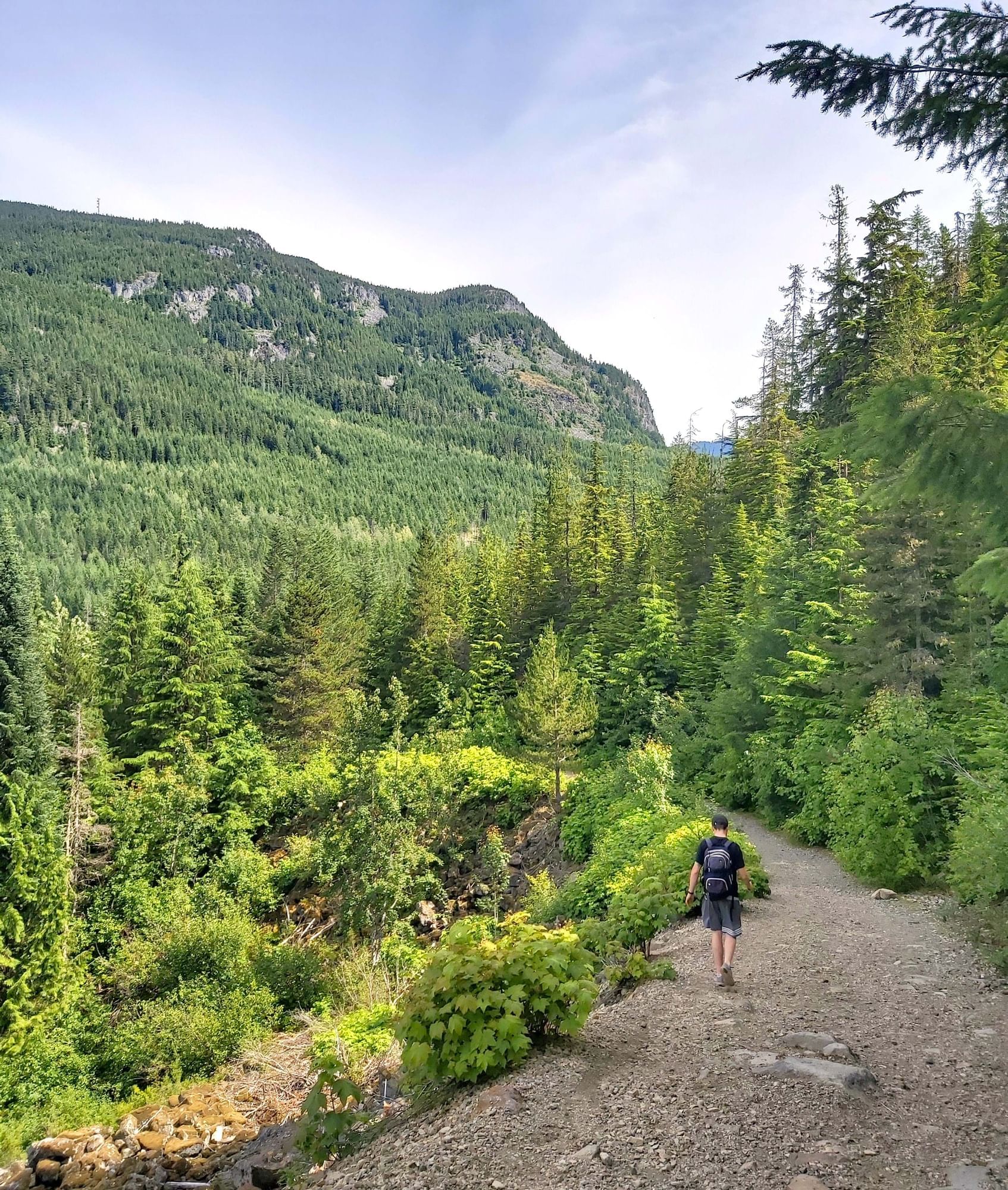 Man walking down a trail with lush greenery near Blackcomb Springs Suites