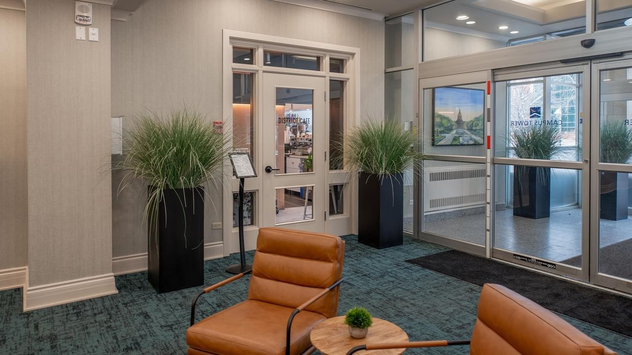 Two leather chairs, a small table, and decorative plants in a hotel lobby.